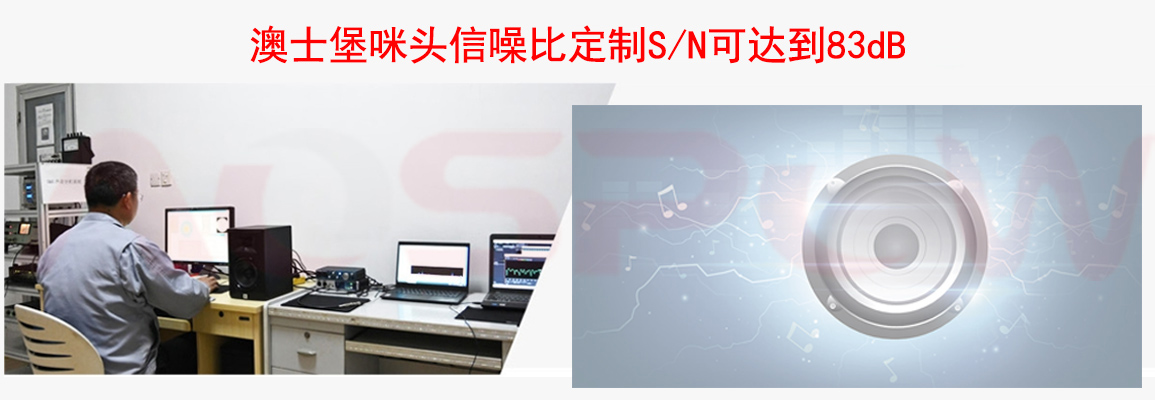澳士堡咪头信噪比定制.jpg